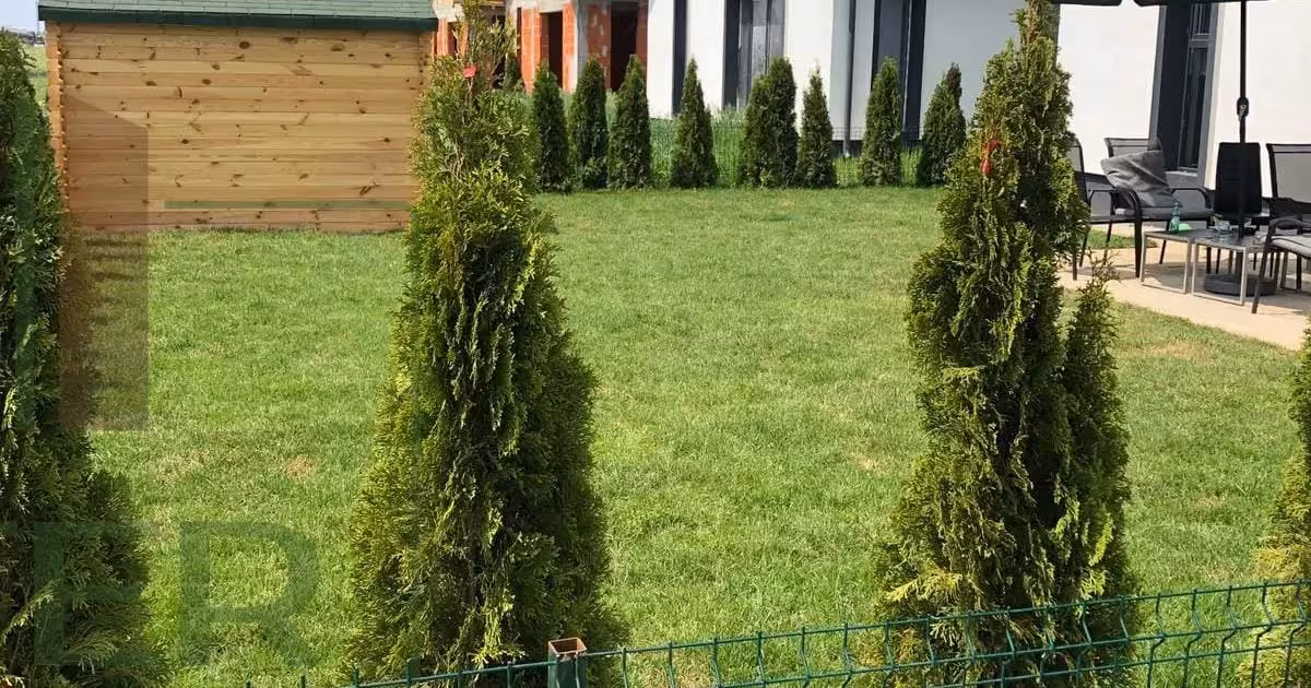 Casă individuală de vânzare cu 4 camere în Berceni