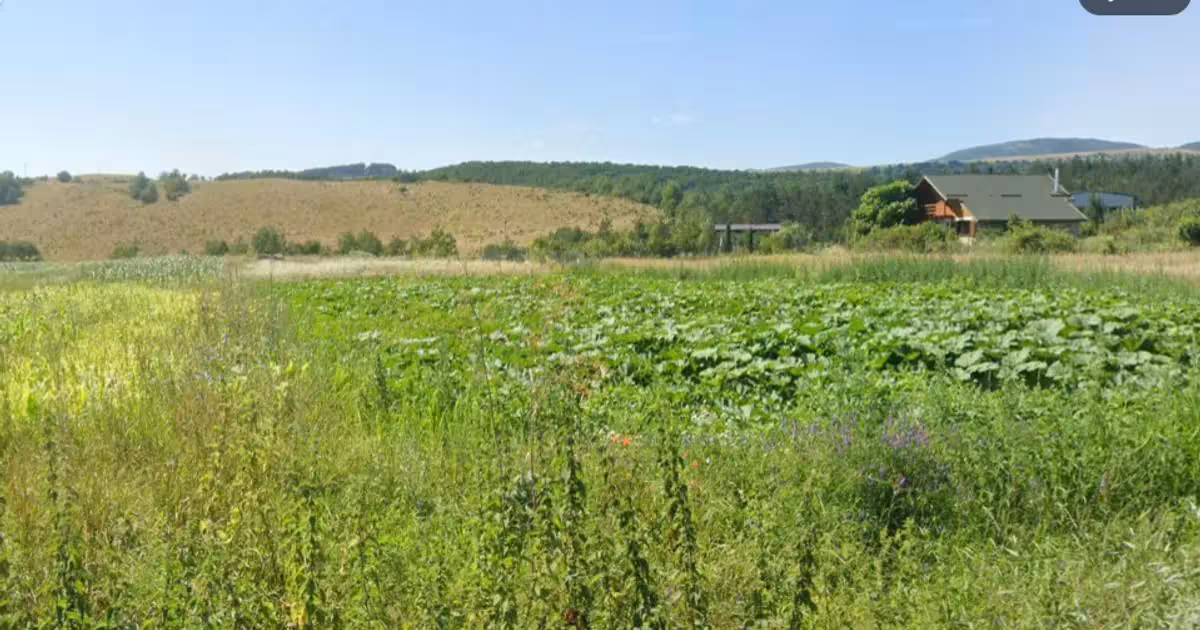 Teren Construcții intravilan de vânzare de 1400 mp, în Săvădisla