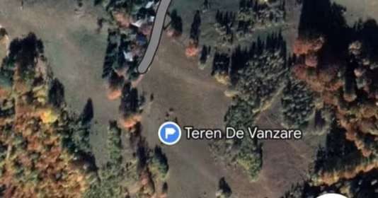 Teren Mănăștur