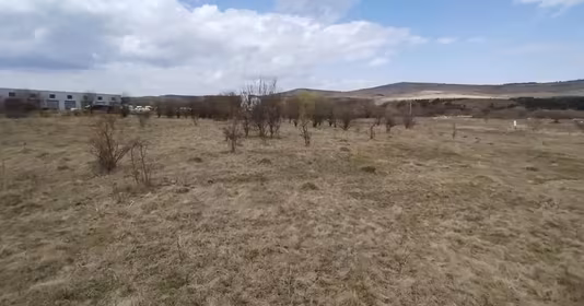 Teren Mănăștur