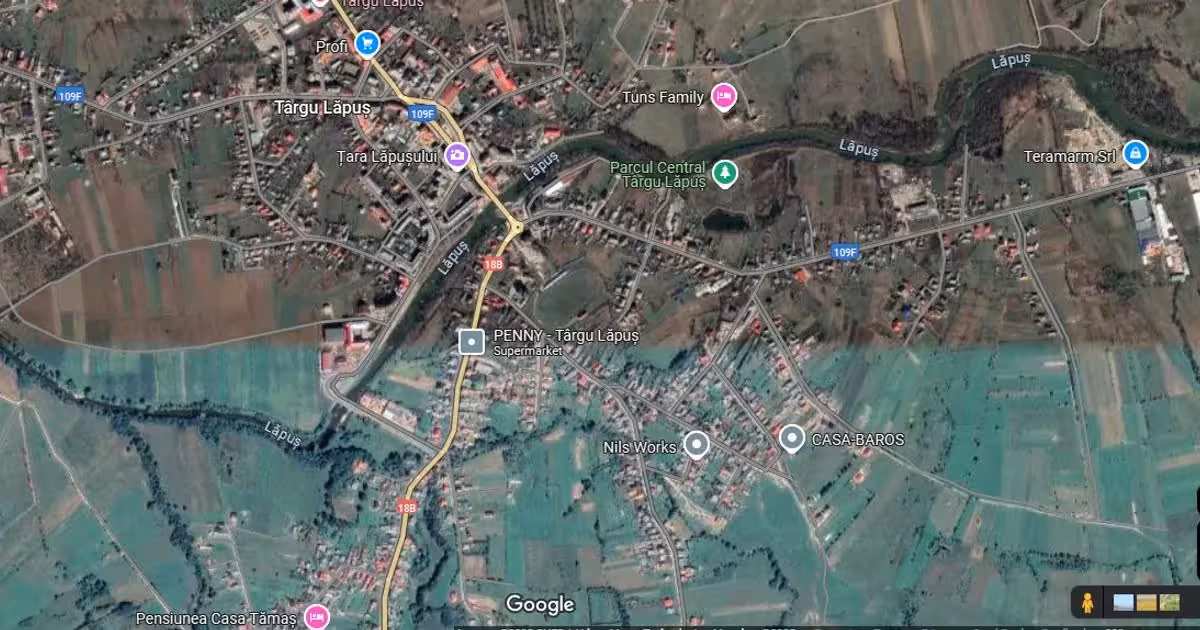 Casă individuală de vânzare cu 4 camere în Târgu Lăpuș