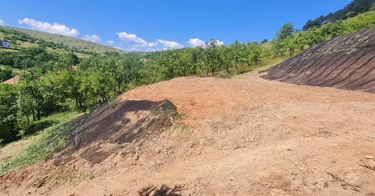 Teren Mănăștur