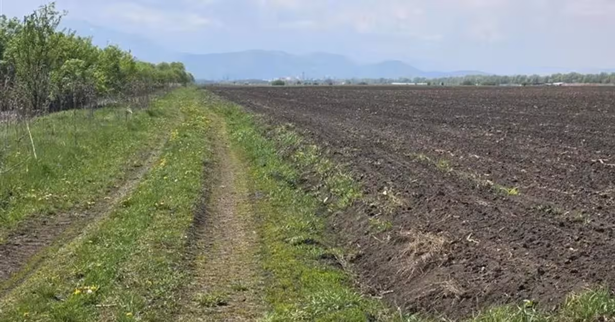 Teren agricol extravilan de vânzare de 22100 mp, în Bod