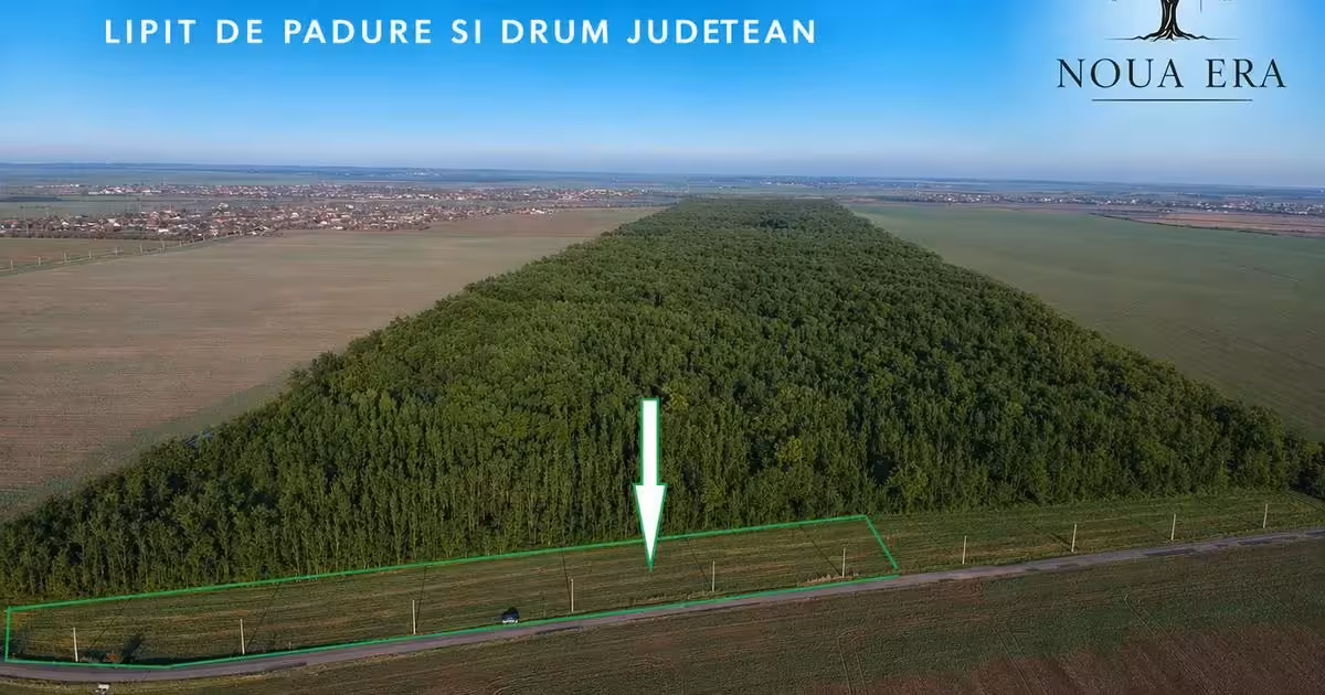 Teren Construcții intravilan de vânzare de 7.643 mp, în Frumușani