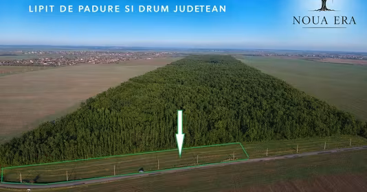 Teren Frumușani
