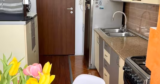 Apartament Griviței