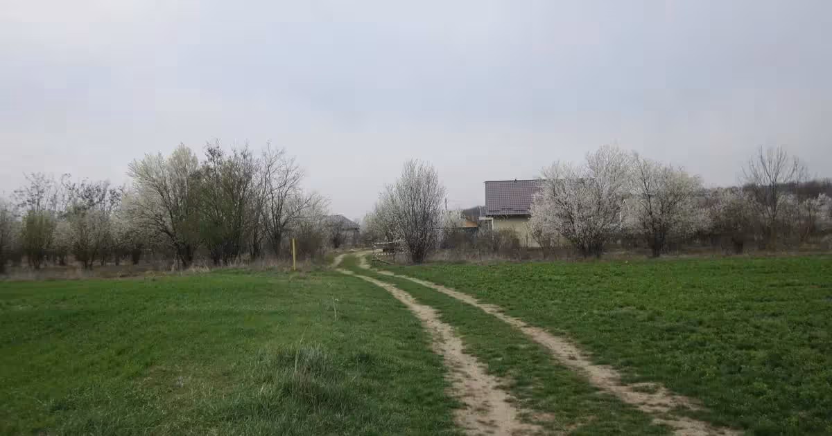 Teren Construcții intravilan de vânzare de 646 mp, în Domnești