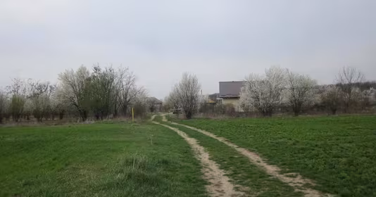 Teren Domnești