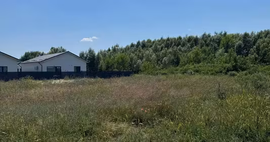 Teren Domnești
