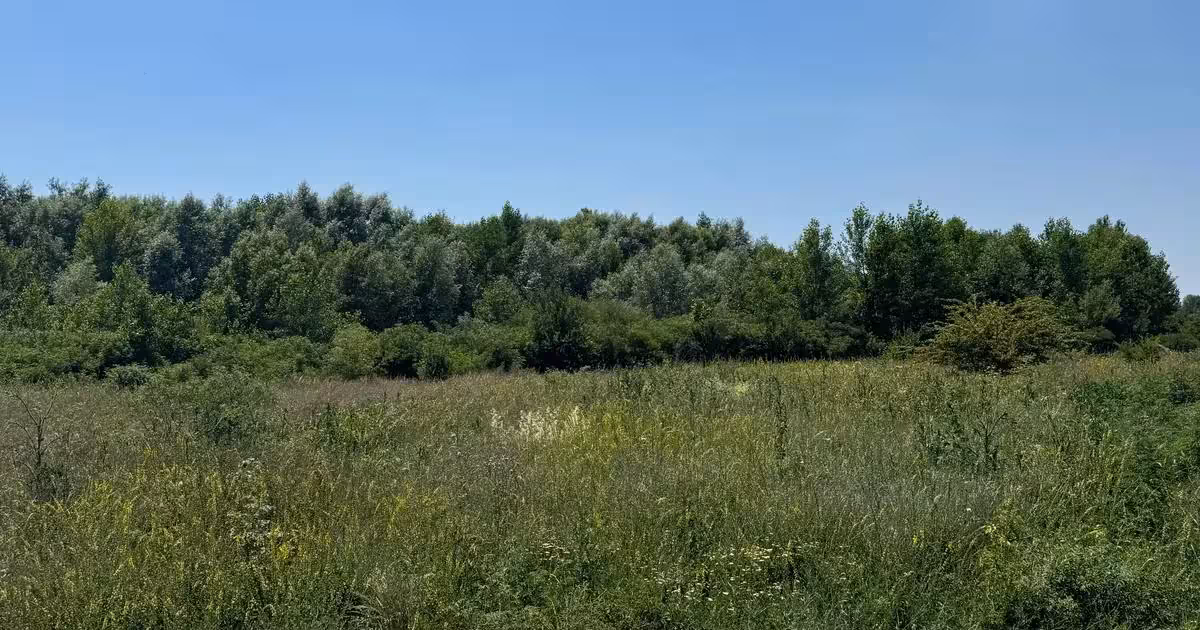 Teren Construcții intravilan de vânzare de 500 mp, în Domnești