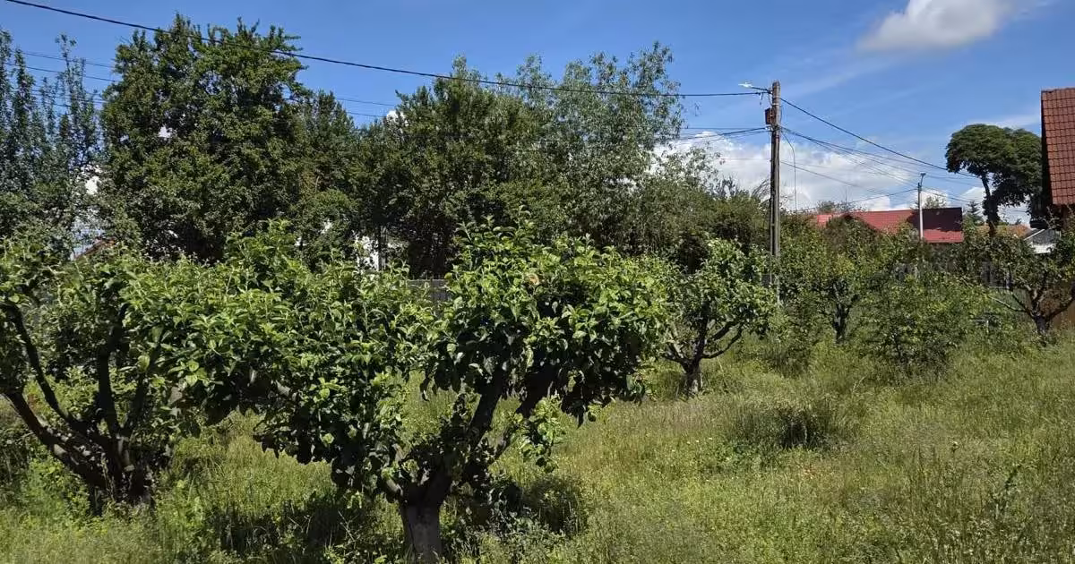Teren intravilan de vânzare de 500 mp, în zona Stupini, Brașov