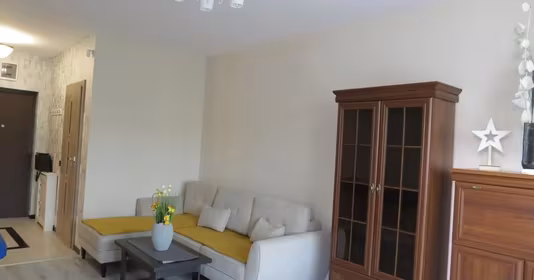 Apartament Tudor