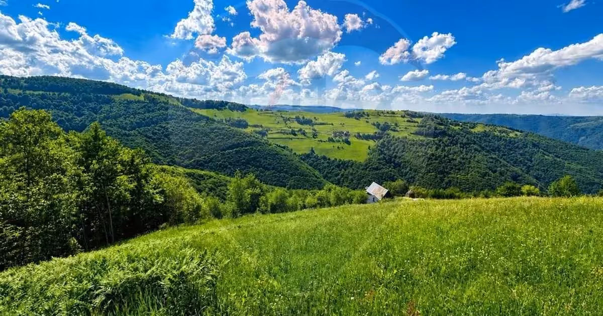 Teren agricol extravilan de vânzare de 9025 mp, în Mărișel