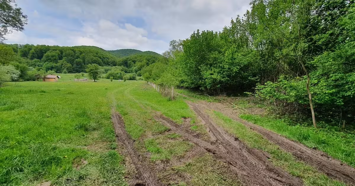 Teren Construcții extravilan de vânzare de 2000 mp, în Râșnov