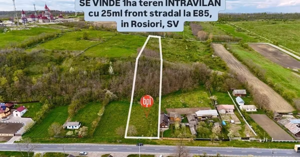 Teren Construcții intravilan de vânzare de 10000 mp, în Roșiori