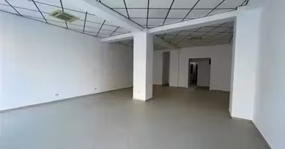 Spațiu comercial Central