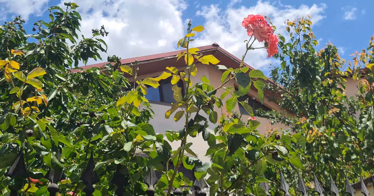 Duplex de vânzare cu 5 camere, mobilat în zona Militari, Sector 6