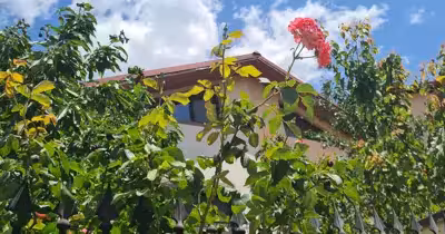 Apartament Militari