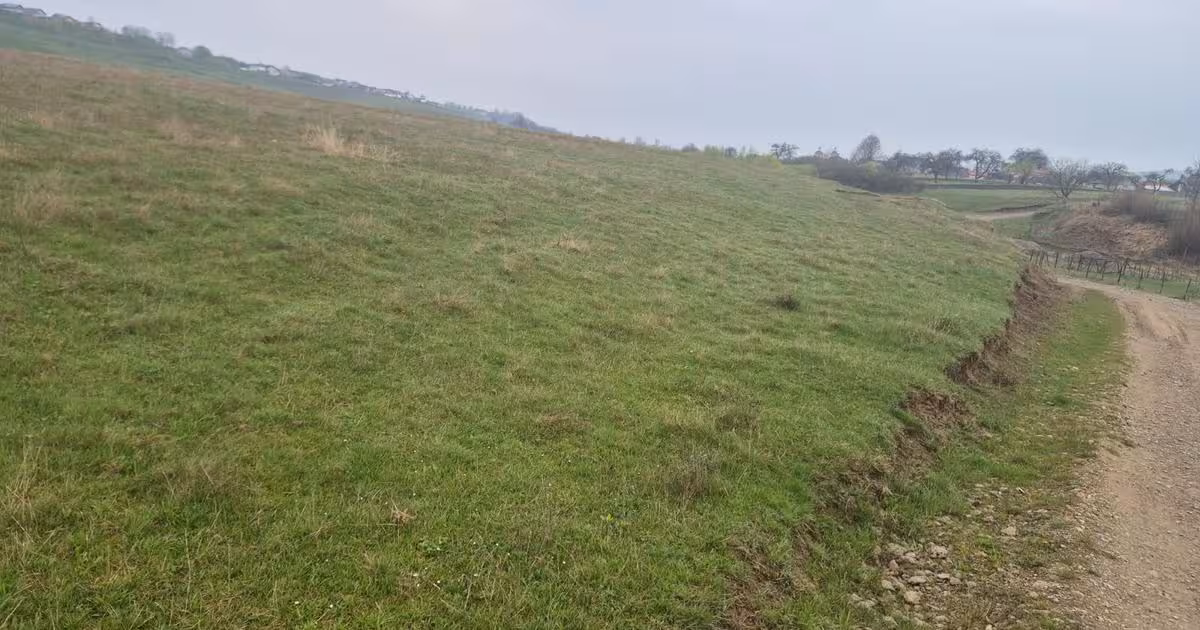 Teren extravilan de vânzare de 10070 mp, în Lipoveni