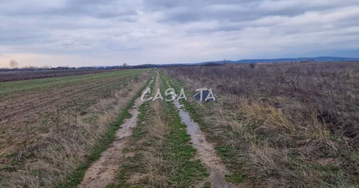 Teren Construcții extravilan de vânzare de 5900 mp, în zona Central, Târgu Jiu