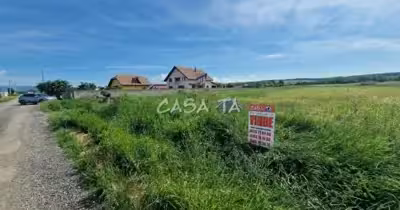 Teren Preajba Mare