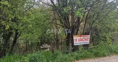 Teren Central