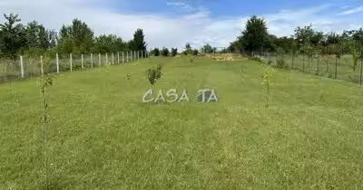 Teren Lelești
