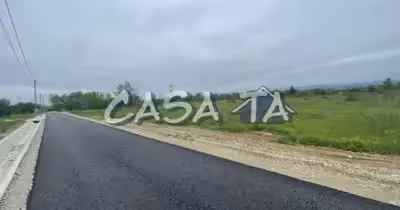 Teren Dănești