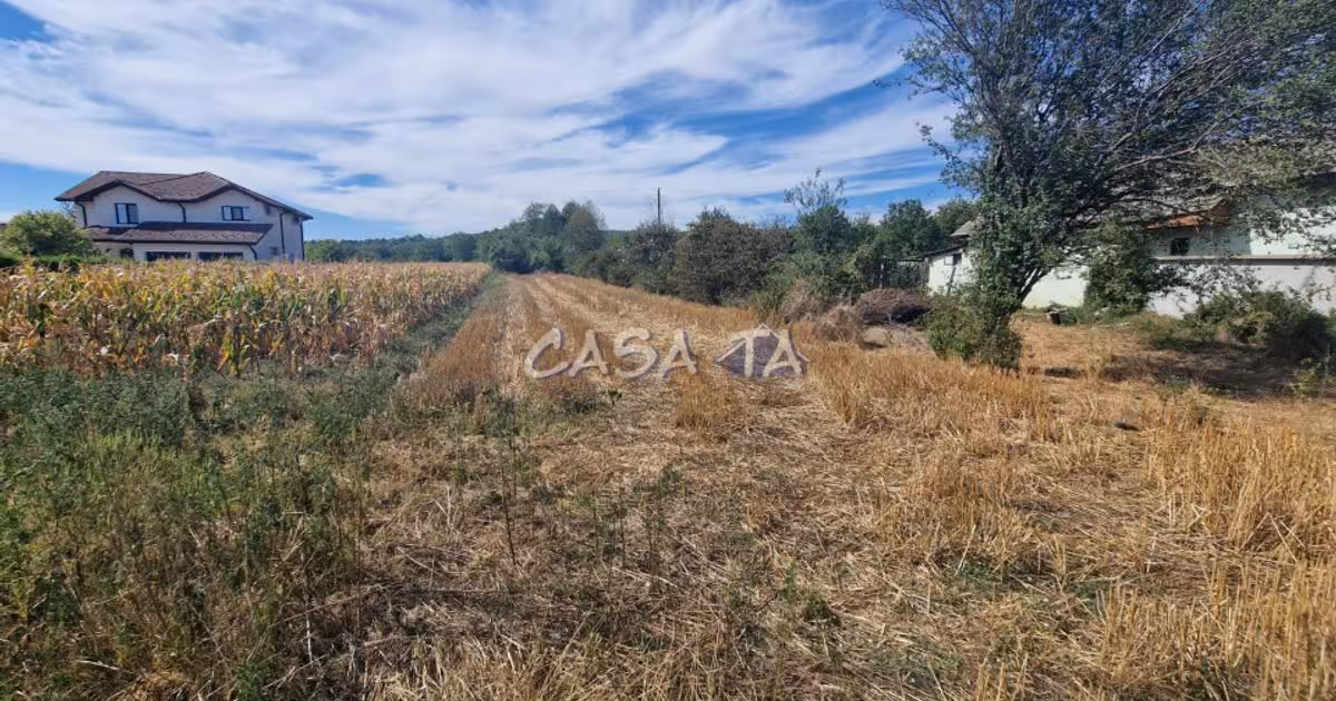 Teren Construcții intravilan de vânzare de 2309 mp, în Cartiu