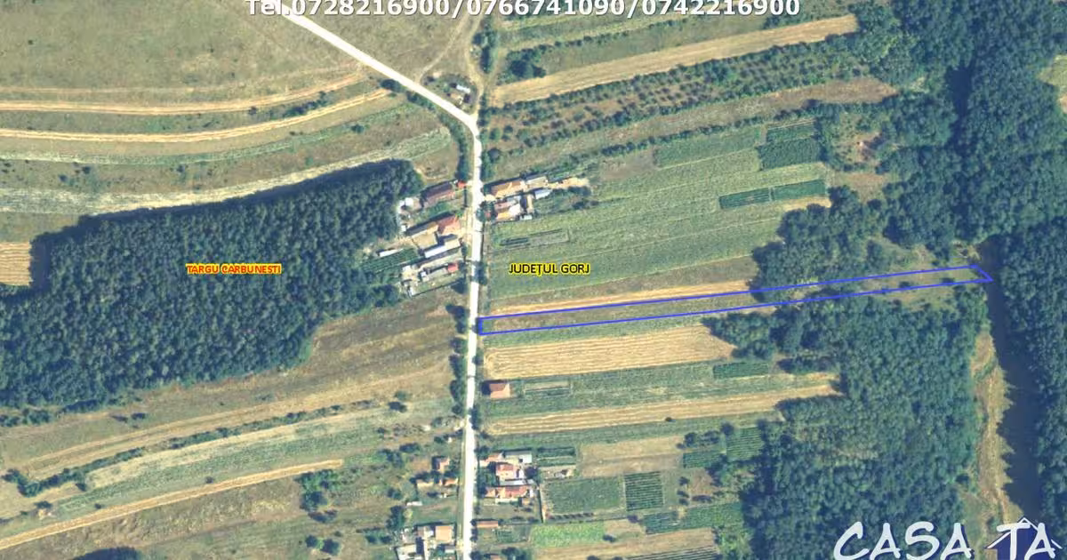 Teren Construcții intravilan de vânzare de 4511 mp, în Floreșteni