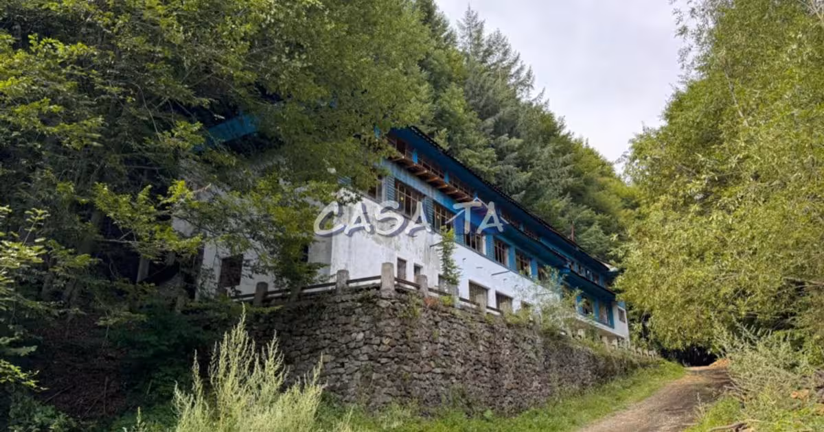 Spațiu comercial de vânzare de 531 mp, în Peștișani