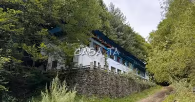 Spațiu comercial Peștișani
