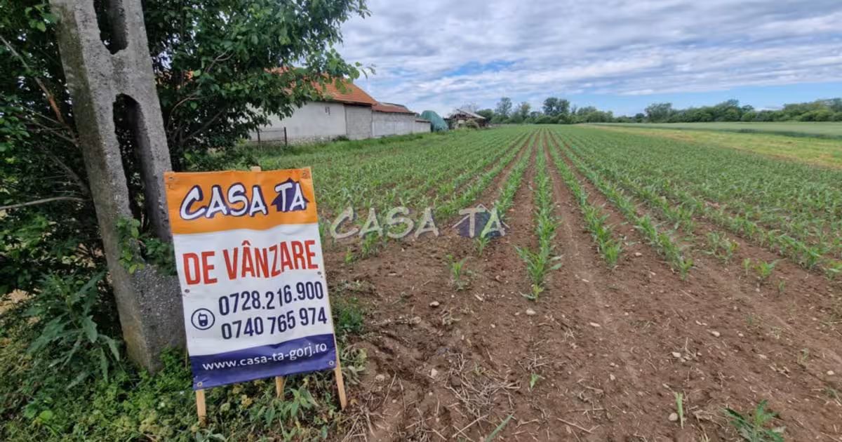 Teren Construcții intravilan de vânzare de 7500 mp, în Bălești