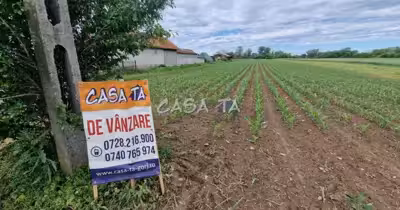 Teren Bălești