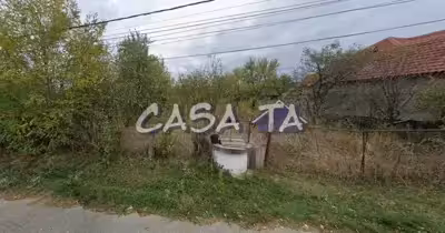 Teren Lelești