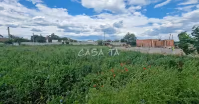 Teren Bălești