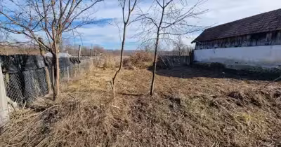 Teren Telești
