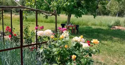 Teren Măstăcani