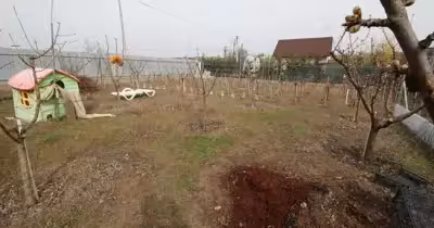 Casă Costi