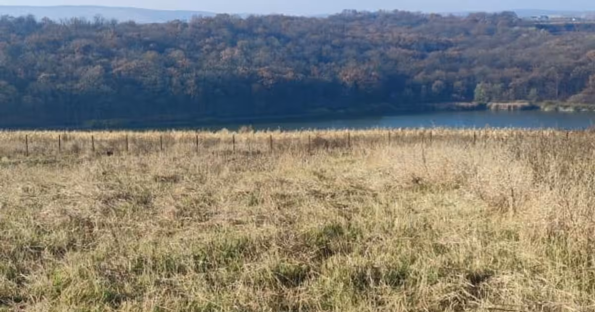 Teren Construcții intravilan de vânzare de 1600 mp, în zona Sud, Botoșani