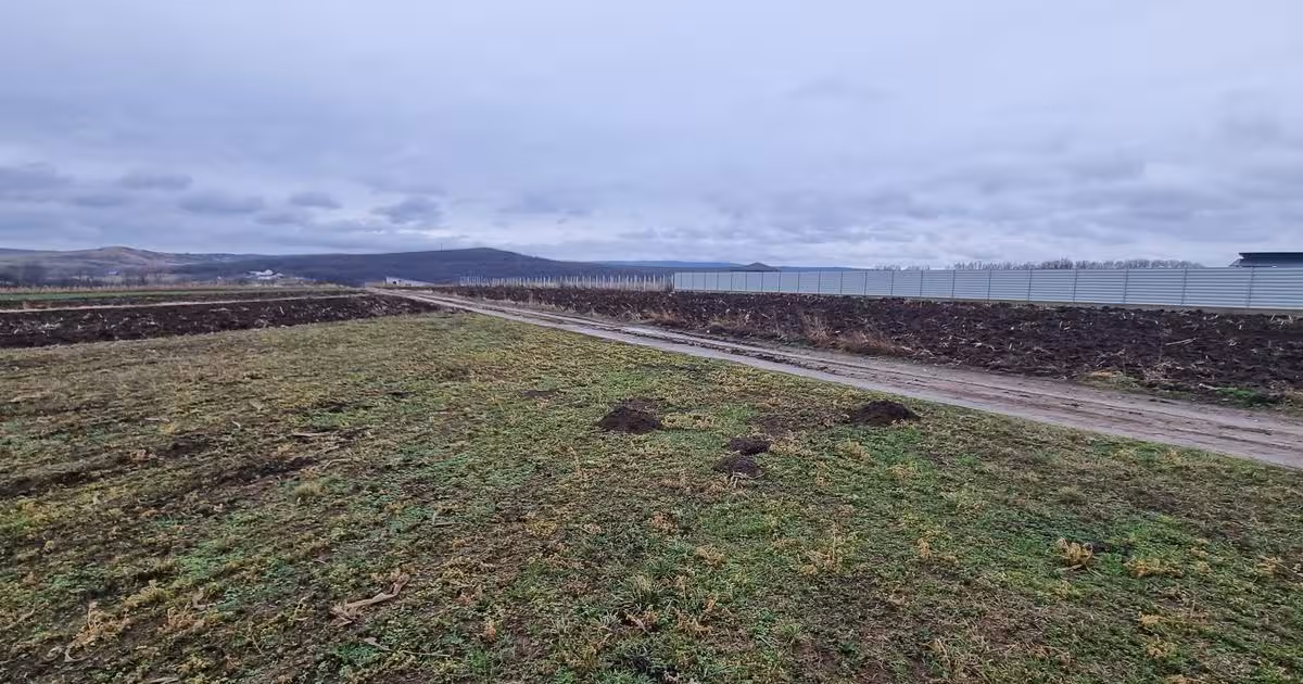 Teren Construcții intravilan de vânzare de 560 mp, în zona Central, Botoșani