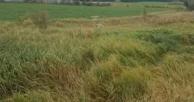 Teren Central