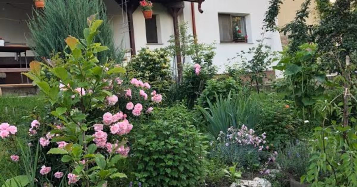 Casă individuală de vânzare cu 5 camere în zona Nord, Botoșani