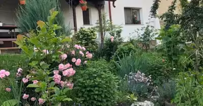Casă Nord