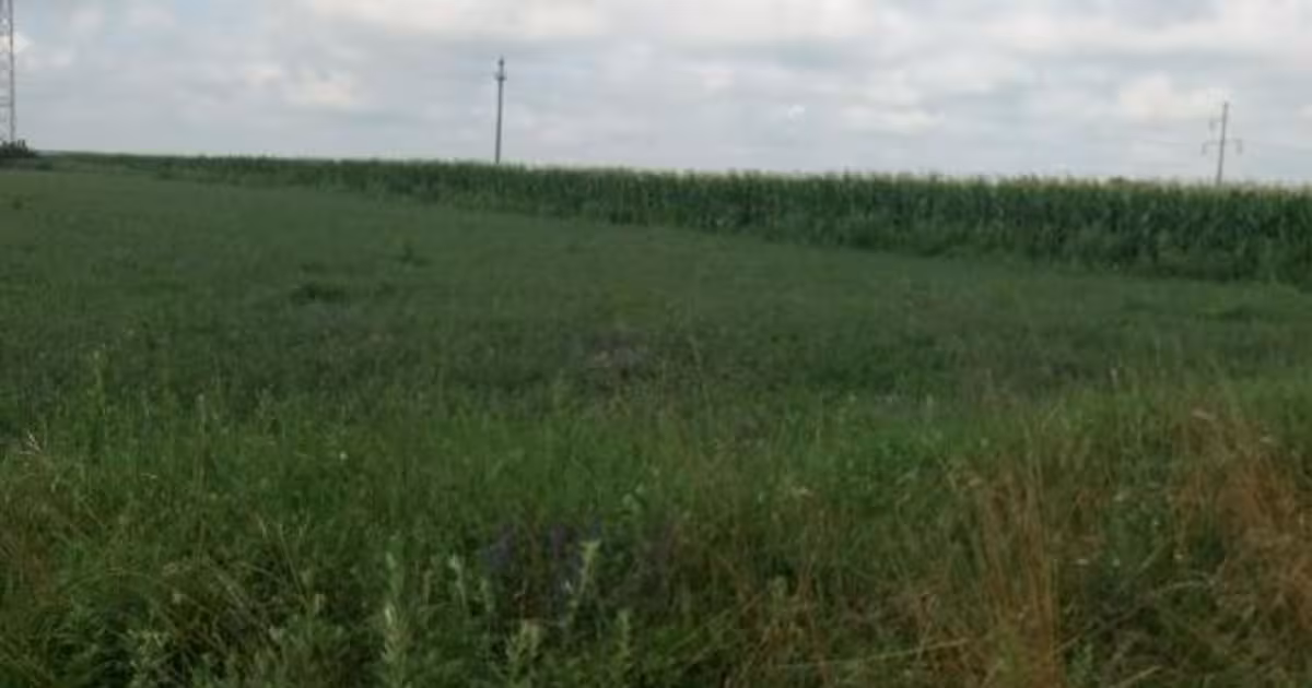 Teren Construcții intravilan de vânzare de 11400 mp, în zona Periferie, Botoșani