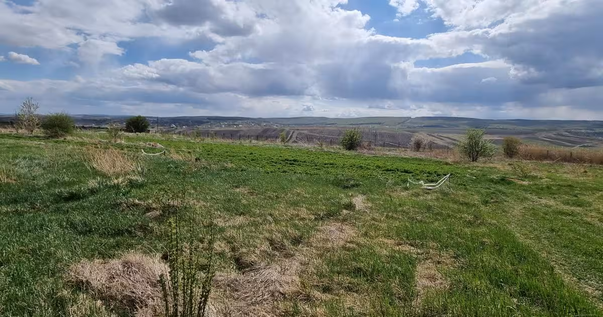 Teren Construcții intravilan de vânzare de 2211 mp, în zona Central, Botoșani