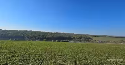 Teren Central