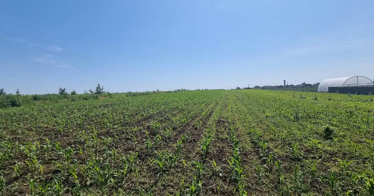 Teren Construcții intravilan de vânzare de 1500 mp, în zona Central, Botoșani
