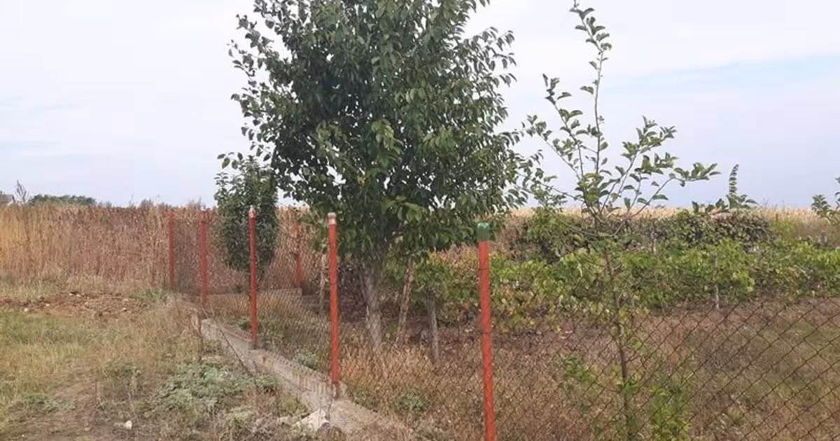Teren Construcții intravilan de vânzare de 800 mp, în zona Periferie, Botoșani