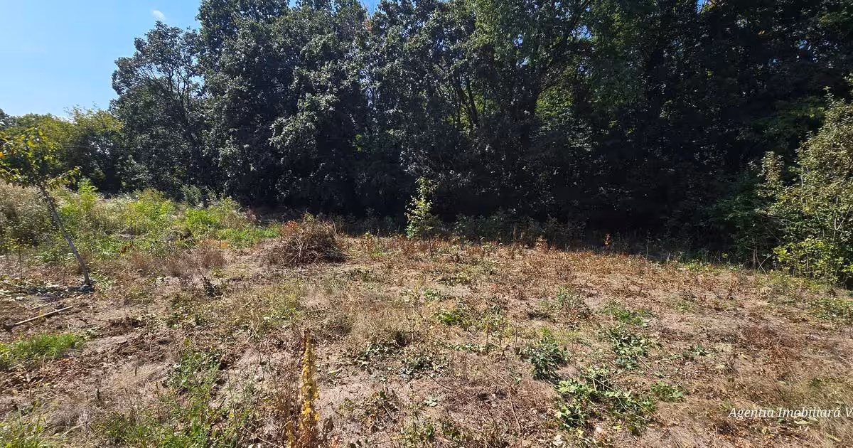 Teren Construcții intravilan de vânzare de 650 mp, în zona Central, Botoșani